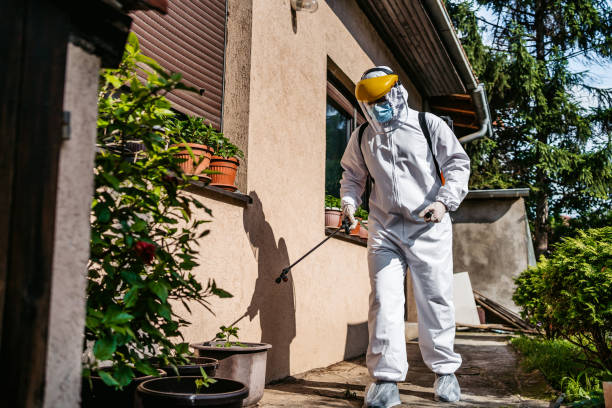 Best Best Pest Control Companies  in Ruckersville, VA