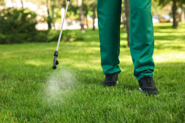 Best Affordable Pest Control Services  in Ruckersville, VA
