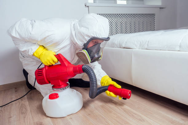 Flea Control Services in Ruckersville, VA