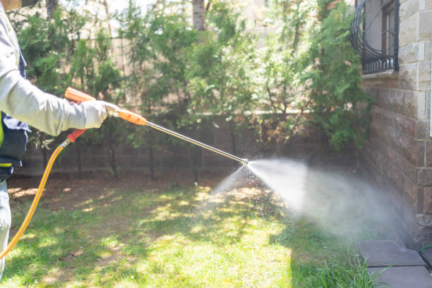 Best Wildlife Control Services  in Ruckersville, VA