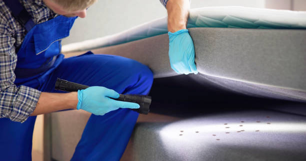 Best Exterminator Services  in Ruckersville, VA