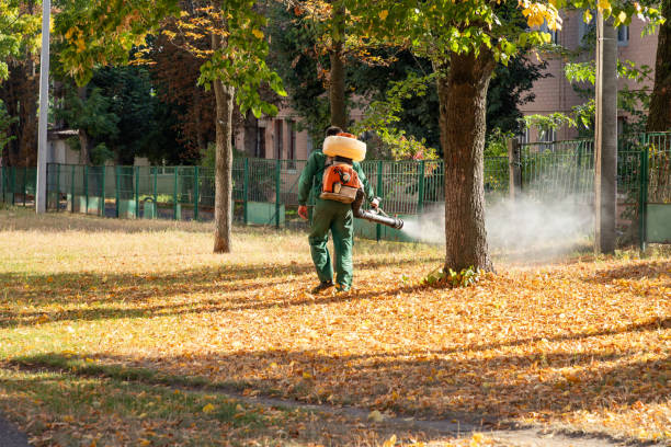 Best Termite Control Services  in Ruckersville, VA