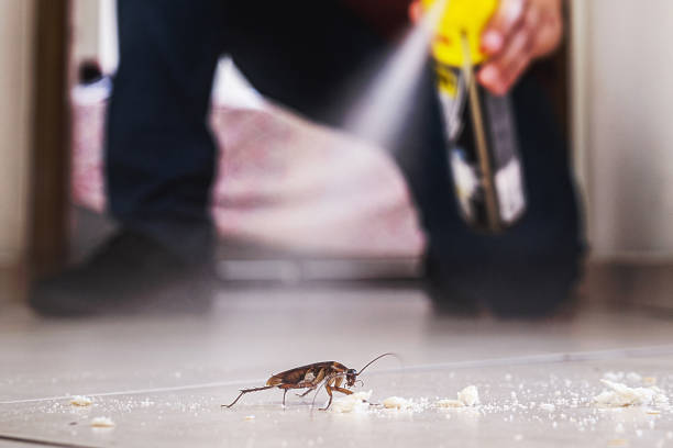 Best Mosquito Control Services  in Ruckersville, VA